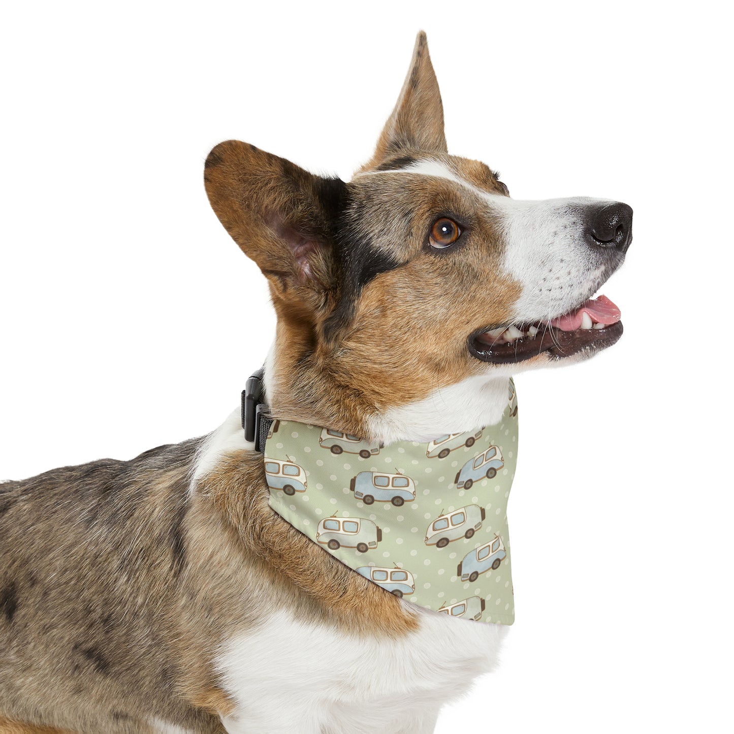 Pet Bandana Collar