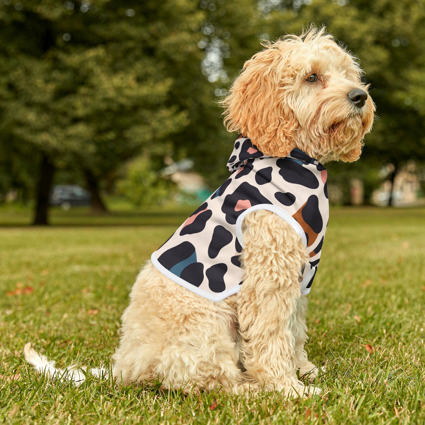 Pet Hoodie