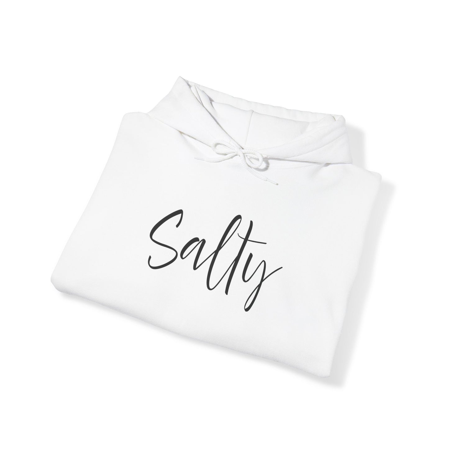 Salt + Light Matthew 5:13 Hoodie, Bible Verse Sweatshirt, Christian Apparel Salty in Comfort Colors