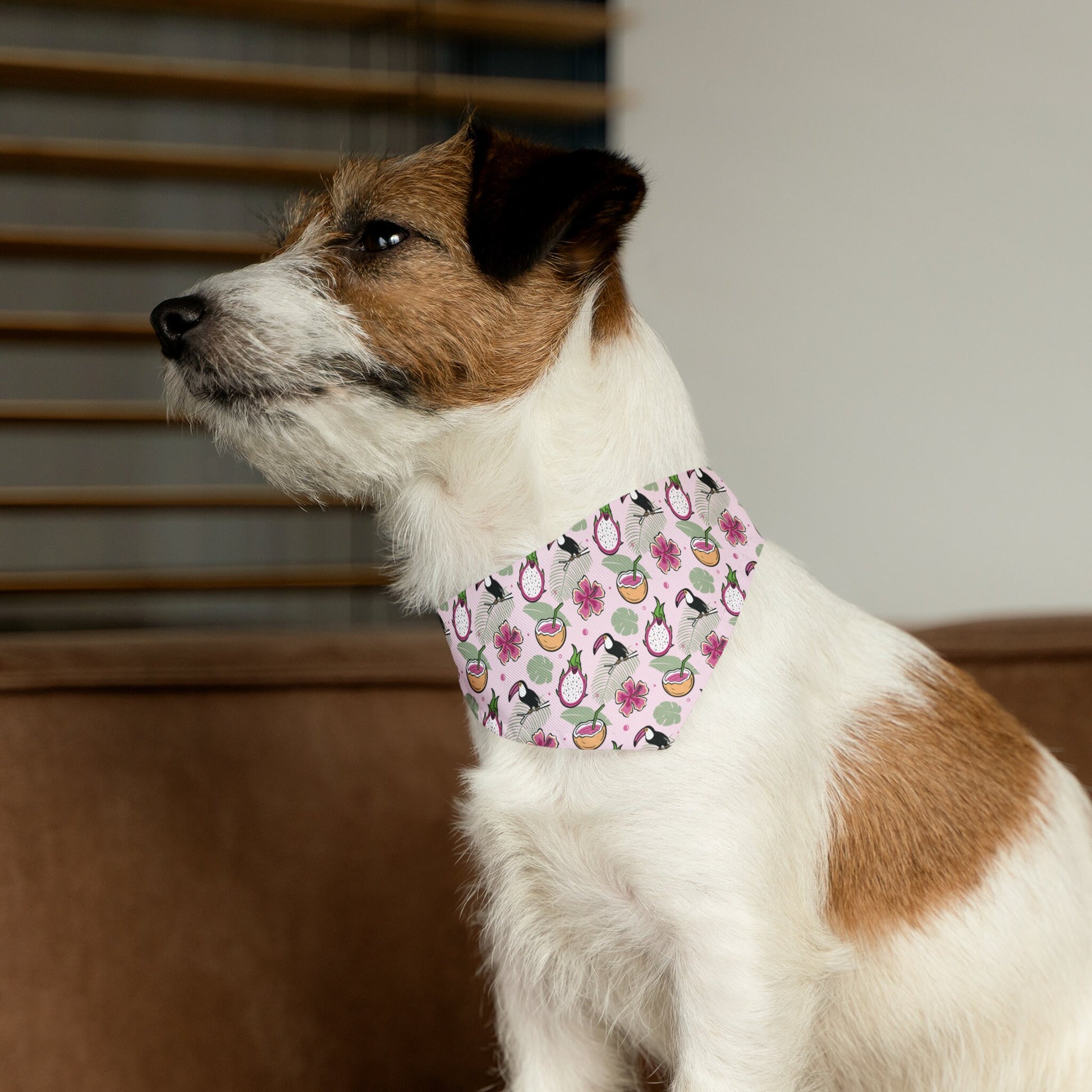 Pet Bandana Collar, Tropical Bird Dog Collar, Camping Bandana for Dog