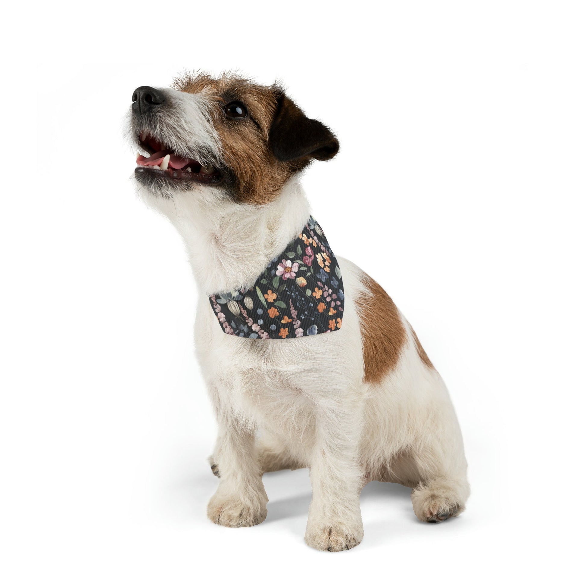 Floral Dog Bandana Camping Collar, Black Background with flower Dog over collar bandana,