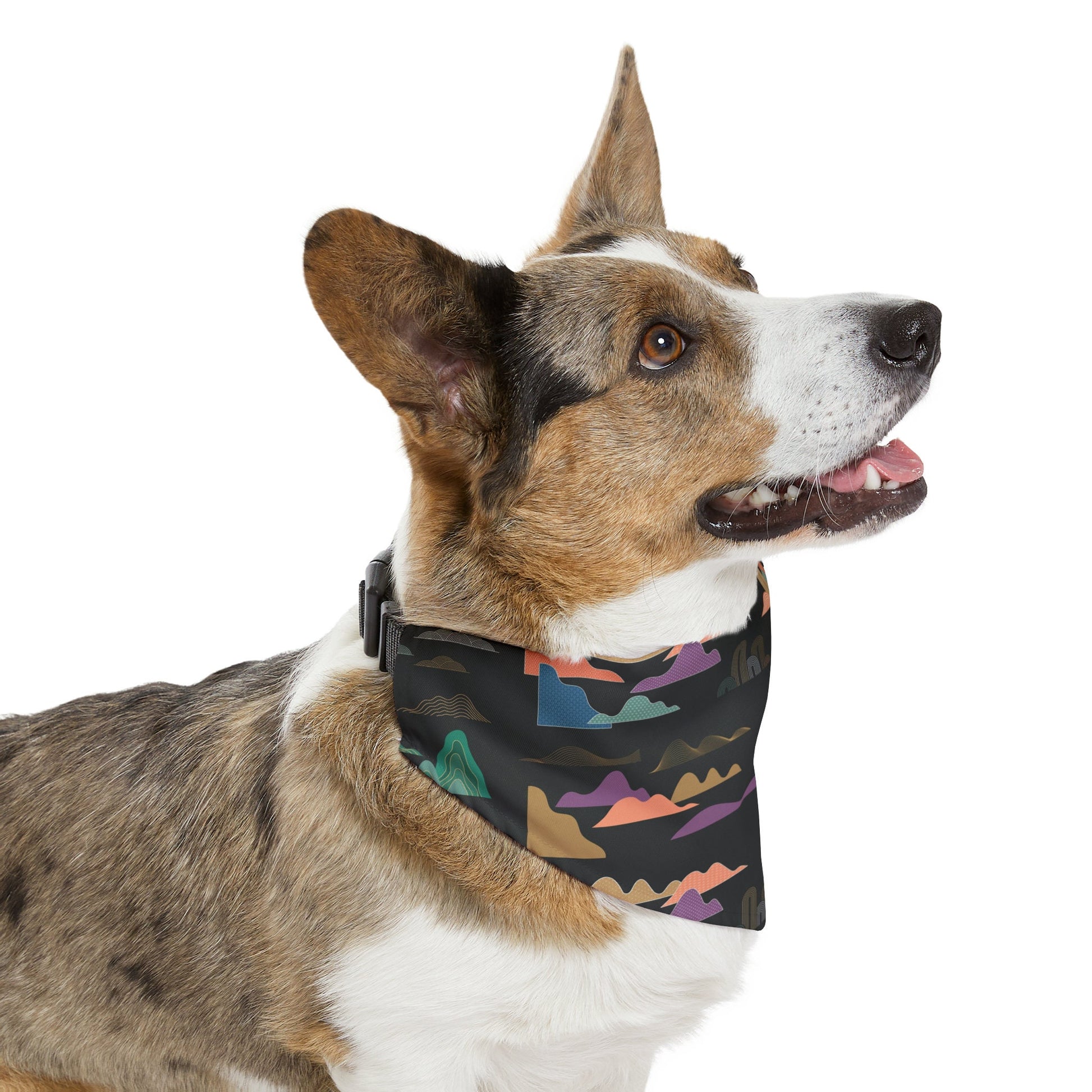 Pet Bandana camping Collar, Multiple Sizes, Black with Desert Pattern Dog Collar, Wrap around neck with clip closure for comfortable fit